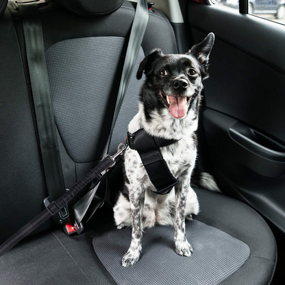 CozyRider™  Dog Seatbelt